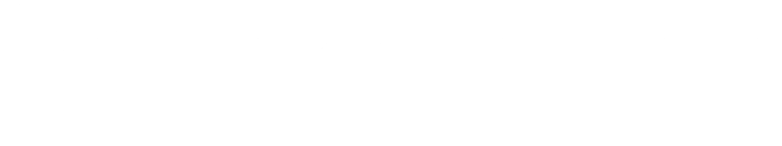 Broadvisionhub footer logo