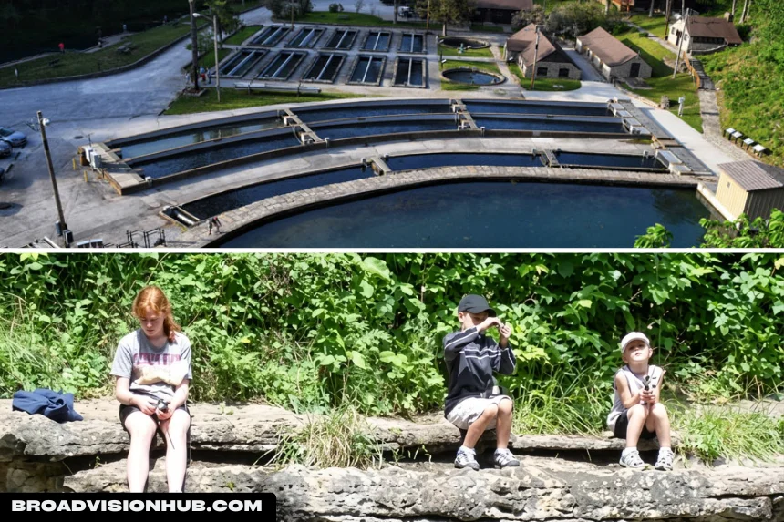 Family Activities at Roaring River State Park (1)