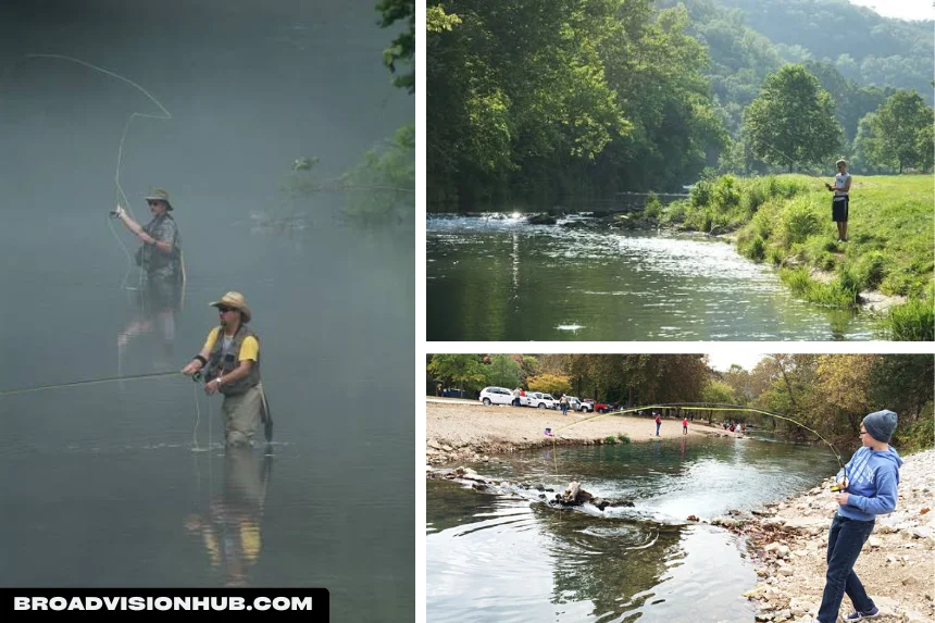 Roaring River State Park Fishing Guide
